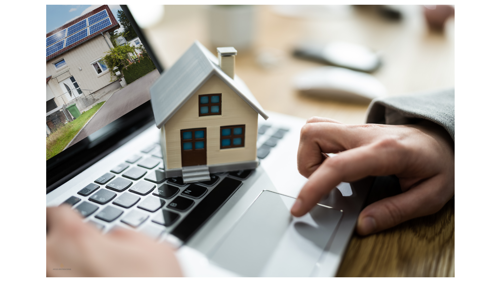 immobilier neuf
